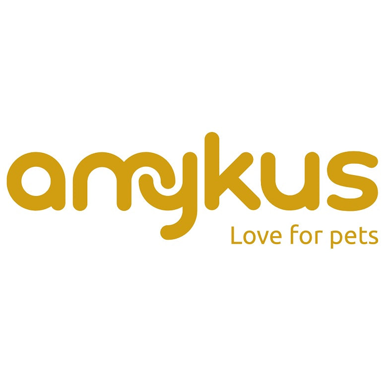 Amykus