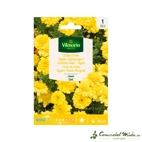 Sobre Semillas VILMORIN Clavelón India Amarillo