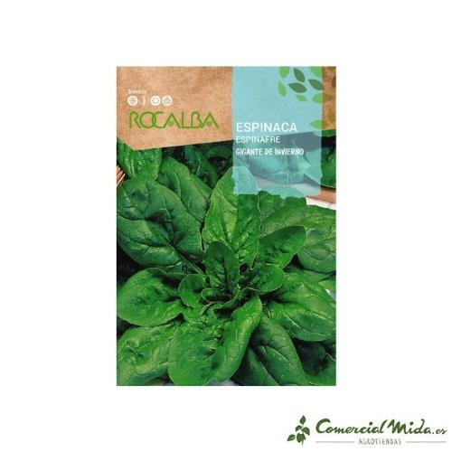 Semi Di Spinaci Tetragone - Confezione Da 5 G, Per Orto, Facili Da Coltivare - Foto 11