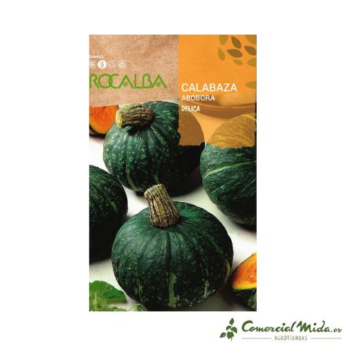 Rocalba Semillas de Calabaza Delica