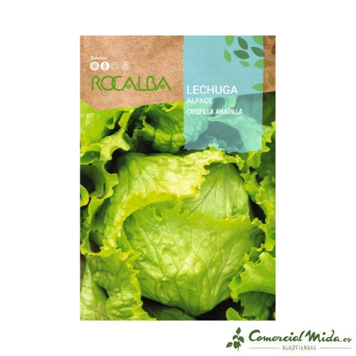 Rocalba Semillas Lechuga Crispilla Amarilla