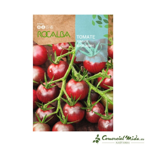 ROCALBA SEMILLAS TOMATE BLACK CHERRY