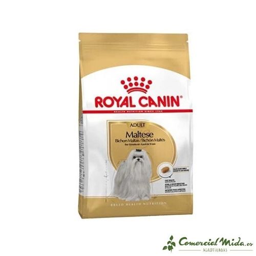 ROYAL CANIN MALTESE ADULT