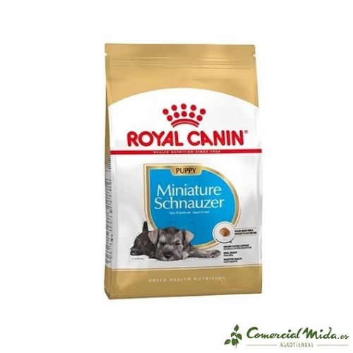 ROYAL CANIN MINIATURE SCHNAUZER PUPPY