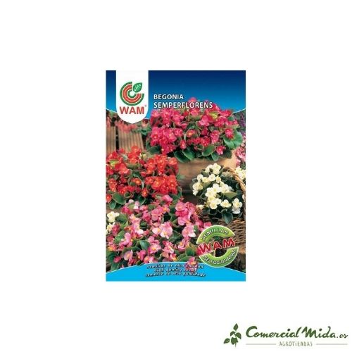 Semillas WAM de Begonia Semperfloresn 0,1 gr