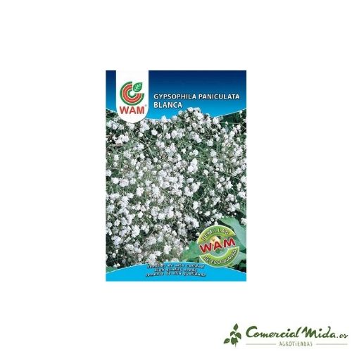 Semillas de Gysophila Paniculata Blanca 2,5 gr de Wam