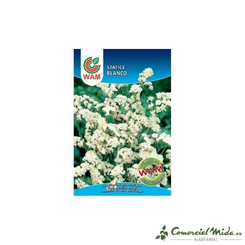 Semillas Statice Blanco 0,3 gr de Wam